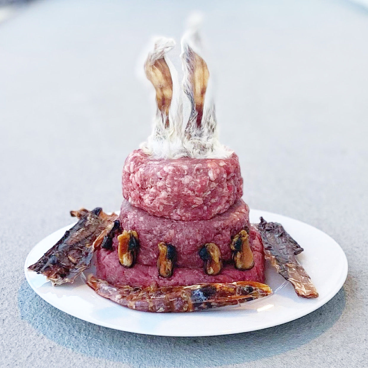 Shrimp - Doot's Pet LLC Collars For A Cause