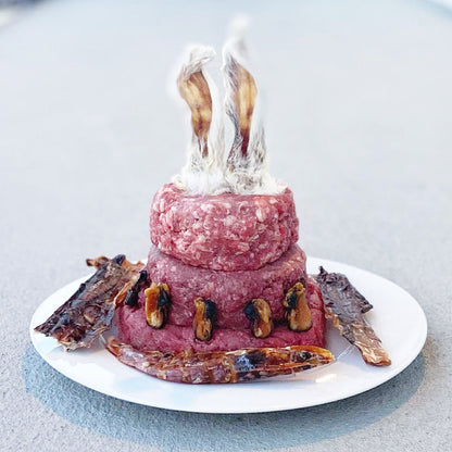 Shrimp - Doot's Pet LLC Collars For A Cause