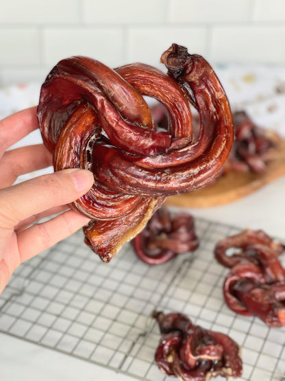 Beef Pizzle (Sticks, Loops, Short, - Doot's Pet LLC Collars For A Cause