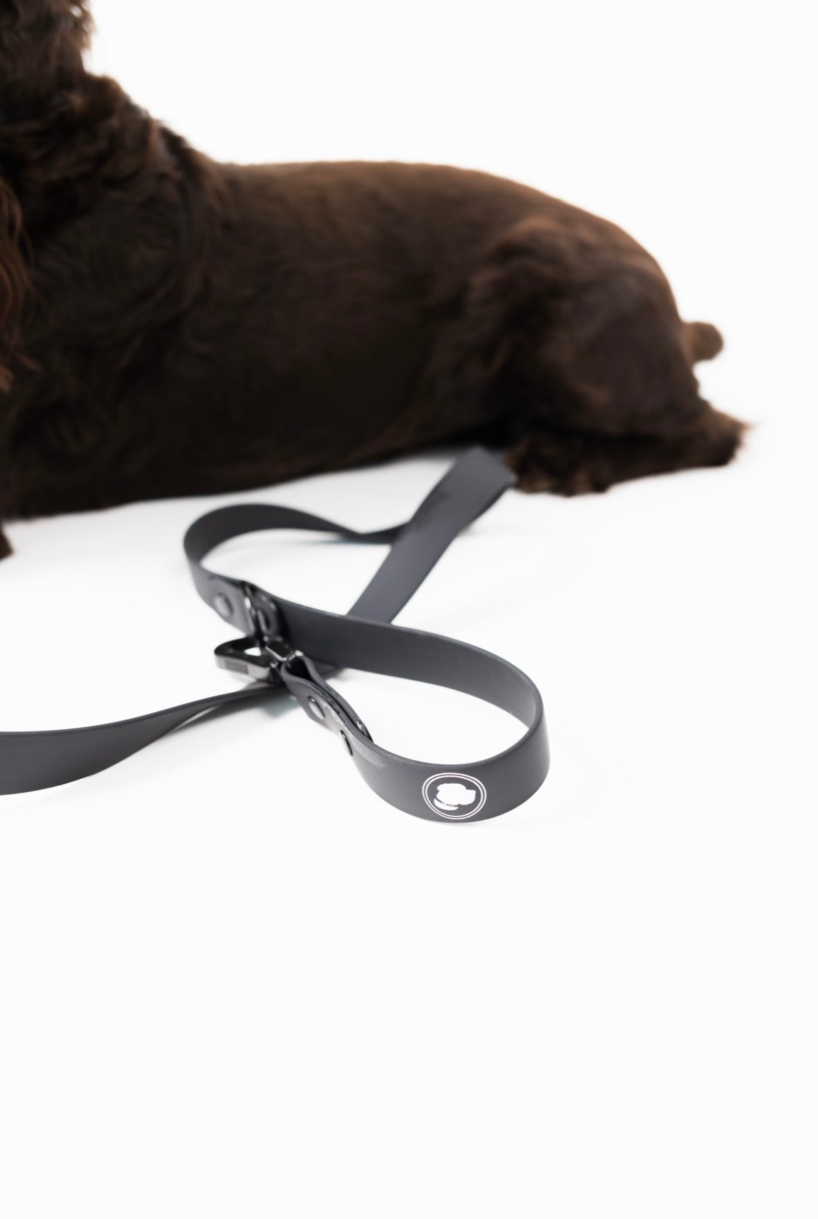 The Modern Dog Company - Better in Black Leash - Doot's Pet LLC Collars For A Cause