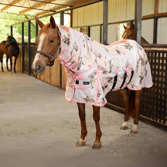 Pre-Sale Jeffers Expression Softmesh Combo Neck Horse Fly Sheet