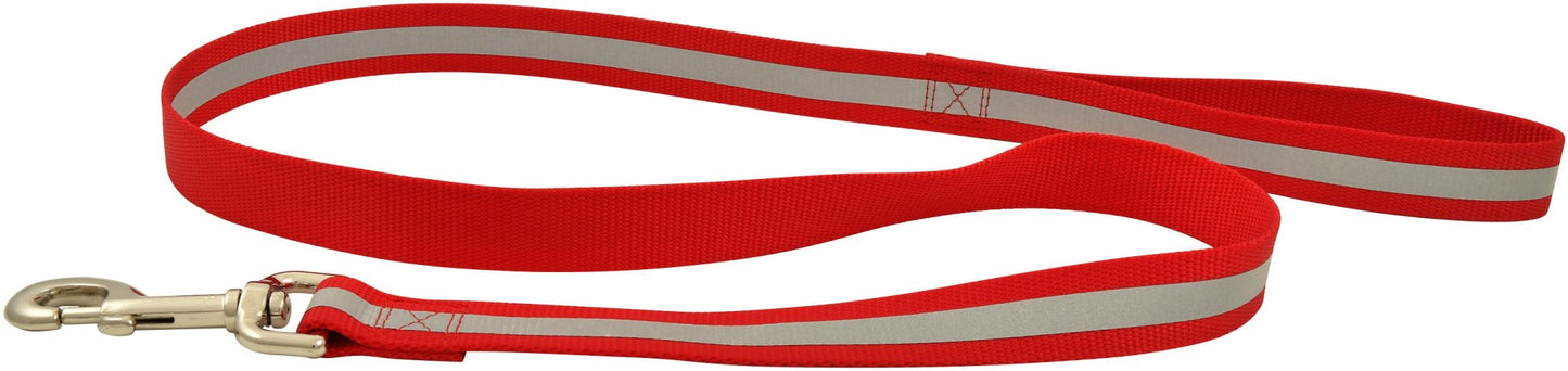 Jeffers Reflective Glow-in-the-Dark Safety Stripe Nylon Dog Leash, 1" W x 4' L