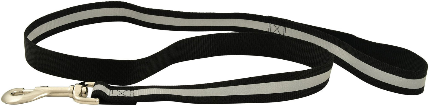 Jeffers Reflective Glow-in-the-Dark Safety Stripe Nylon Dog Leash, 1" W x 4' L
