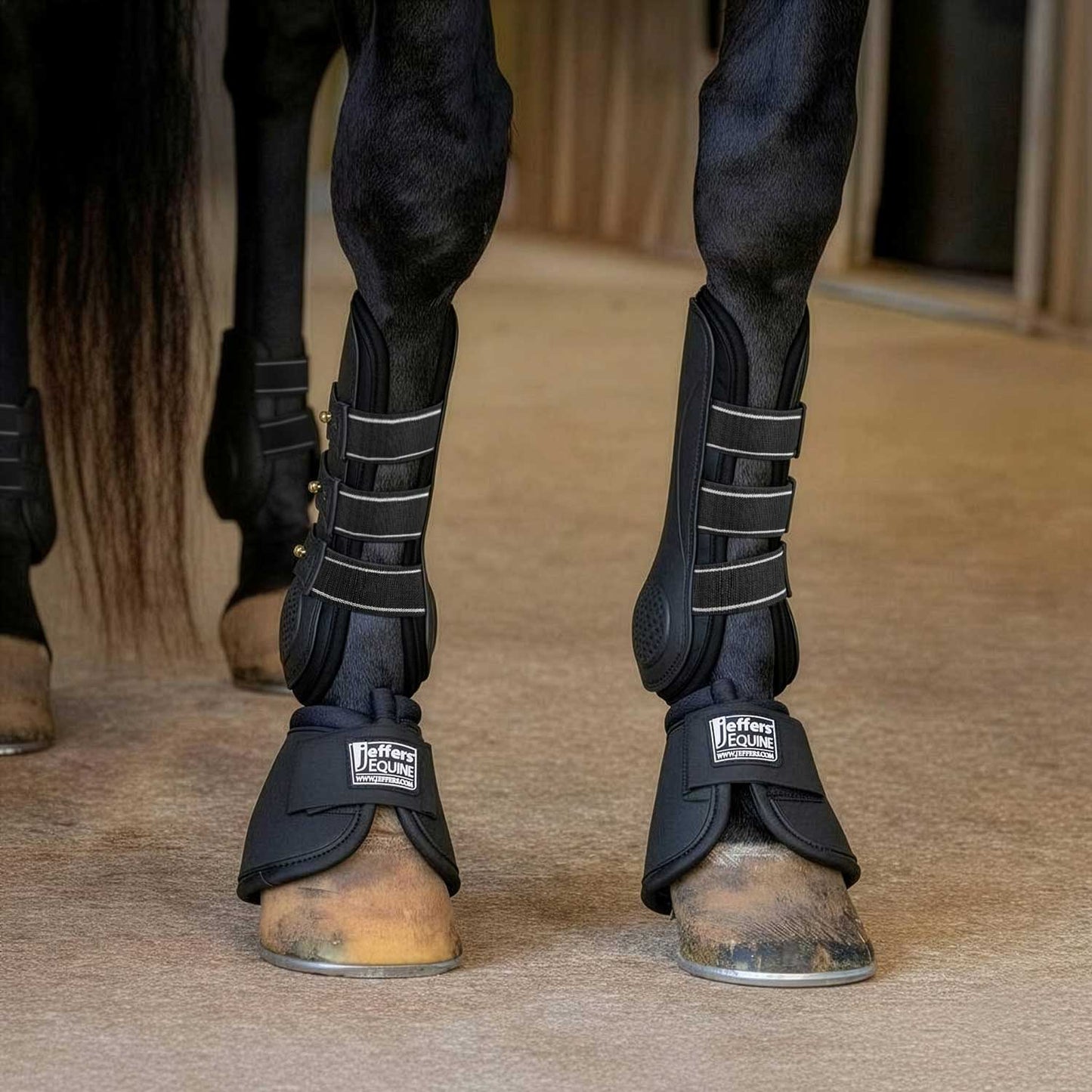 Jeffers Uniquely English Horse Tendon Boots, 2-Pack