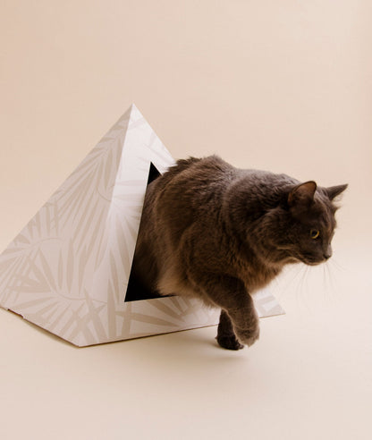 'Neutral Palm' Cardboard Cat Pyramid - Doot's Pet LLC Collars For A Cause