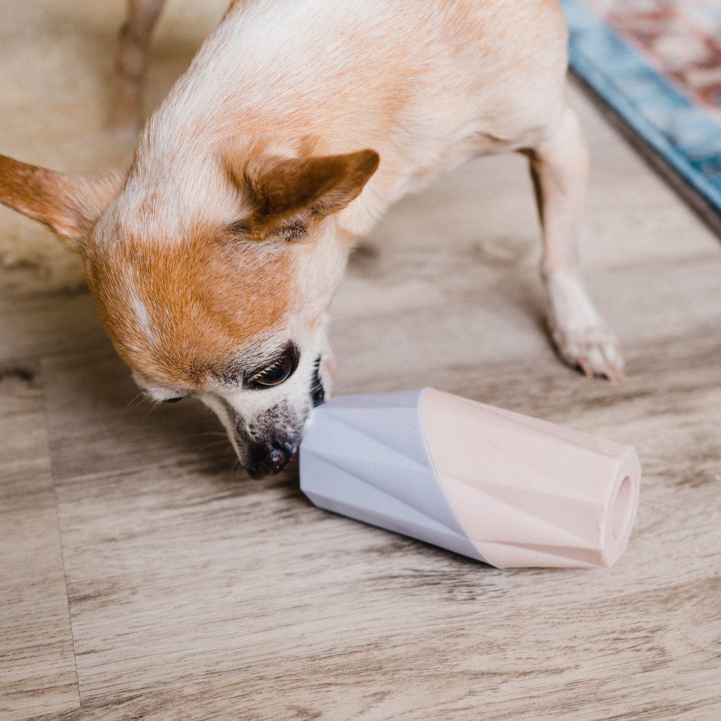 The Ubbe Modern Dog Licking Toy - Doot's Pet LLC Collars For A Cause