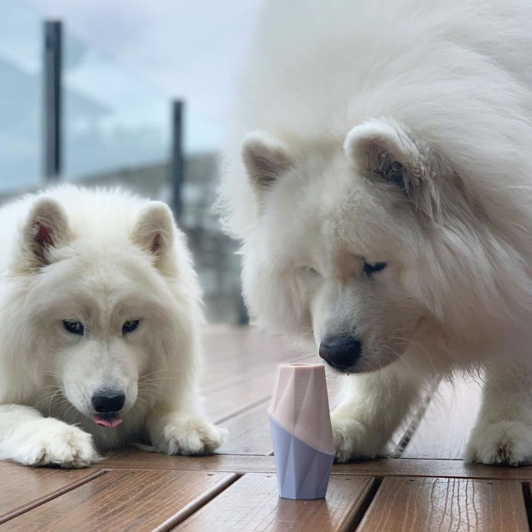 The Ubbe Modern Dog Licking Toy - Doot's Pet LLC Collars For A Cause