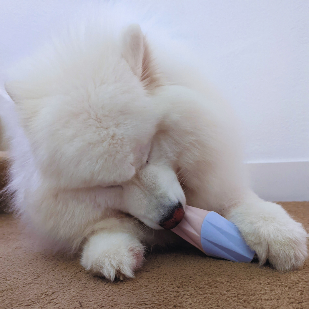 The Ubbe Modern Dog Licking Toy - Doot's Pet LLC Collars For A Cause