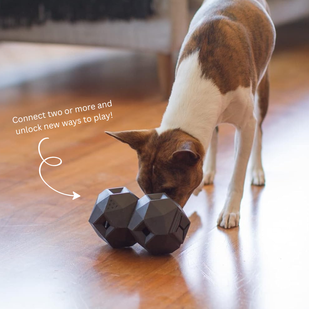 The Odin Treat Dispensing Toy For Dogs - Doot's Pet LLC Collars For A Cause