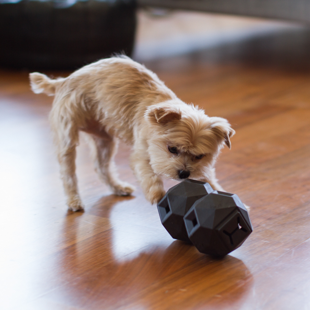 The Odin Treat Dispensing Toy For Dogs - Doot's Pet LLC Collars For A Cause