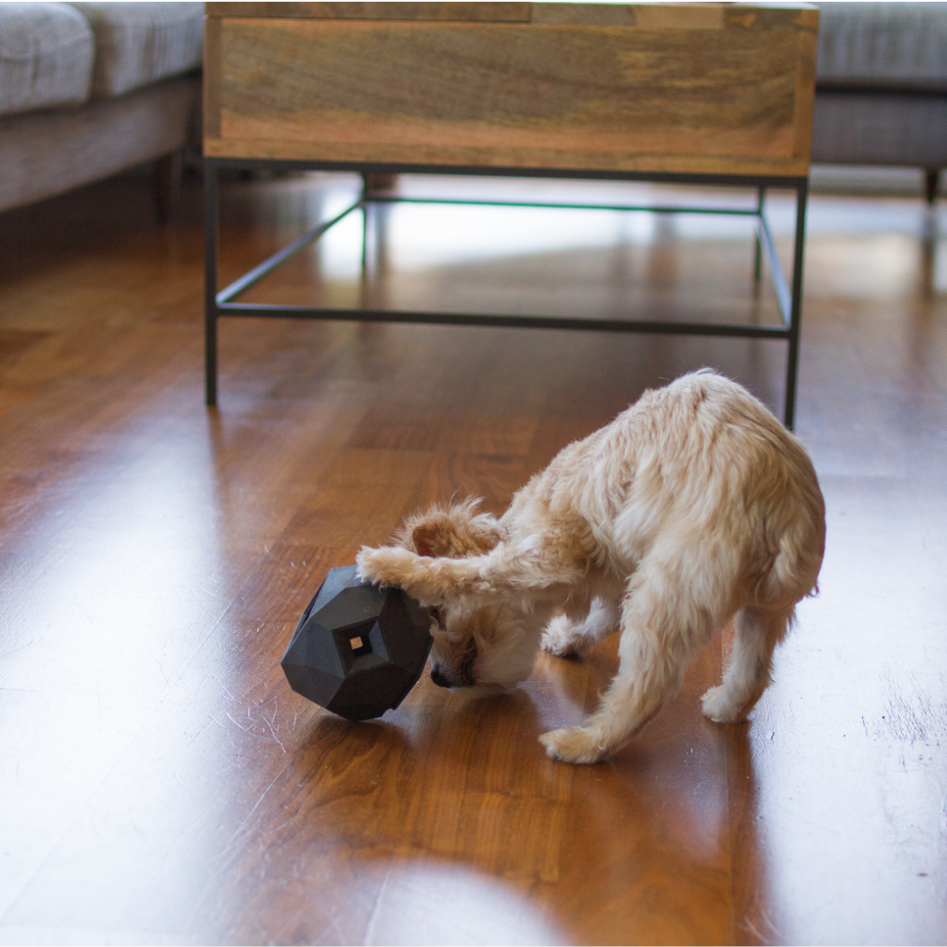 The Odin Treat Dispensing Toy For Dogs - Doot's Pet LLC Collars For A Cause