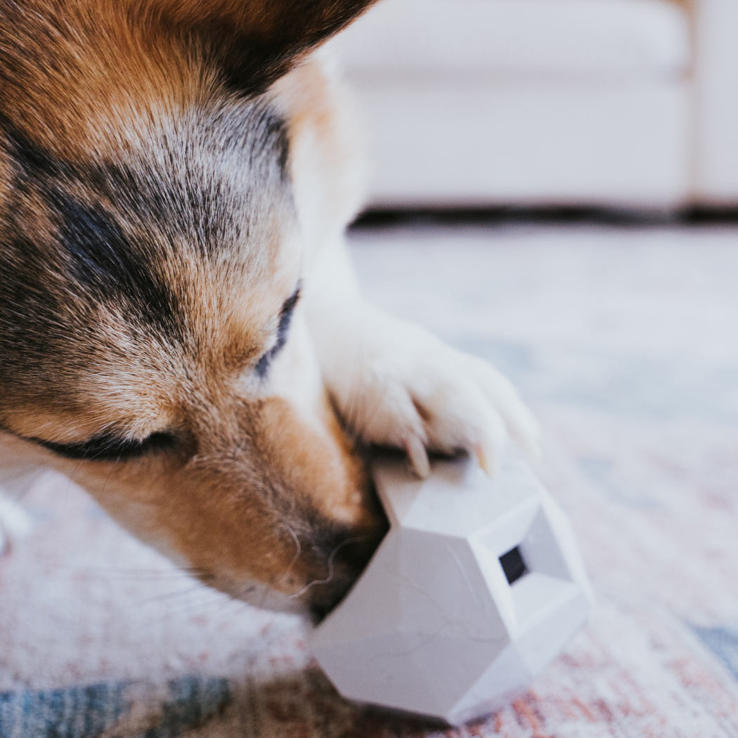 The Odin Treat Dispensing Toy For Dogs - Doot's Pet LLC Collars For A Cause