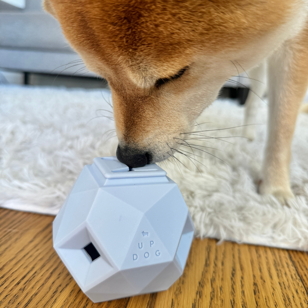 The Odin Treat Dispensing Toy For Dogs - Doot's Pet LLC Collars For A Cause