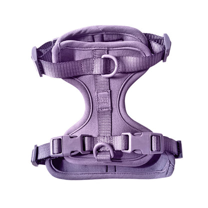 Come Here Buddy Harness