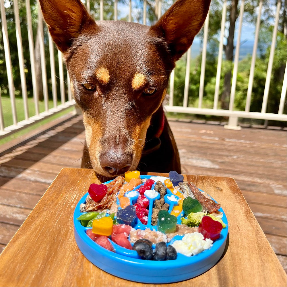 Air Nylon eCoin Lick Mat for Dogs - Durable Enrichment Toy | SodaPup - Doot's Pet LLC Collars For A Cause