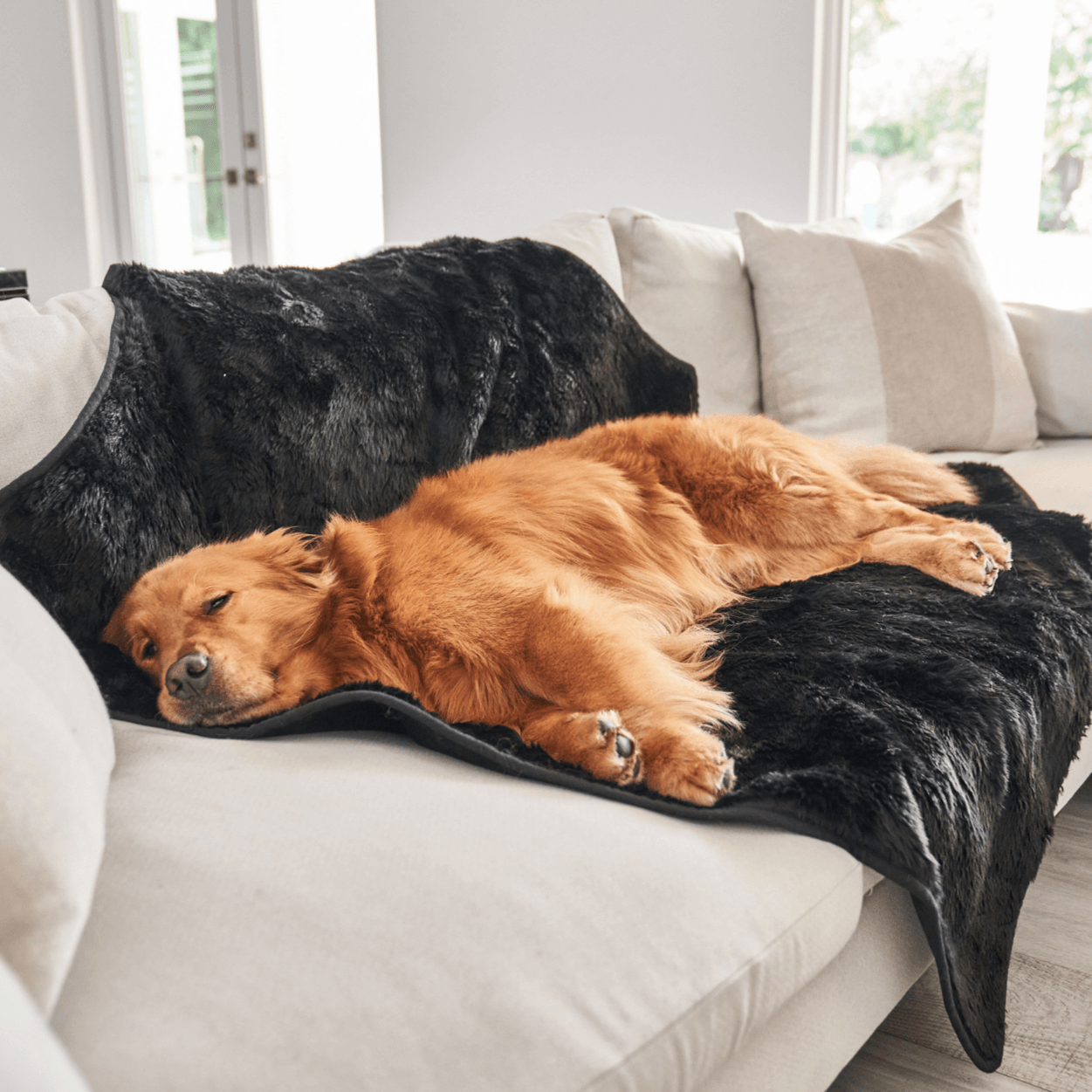 PupProtector™ Short Fur Waterproof Throw Blanket - Midnight Black - Doot's Pet LLC Collars For A Cause