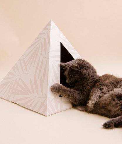 'Neutral Palm' Cardboard Cat Pyramid - Doot's Pet LLC Collars For A Cause