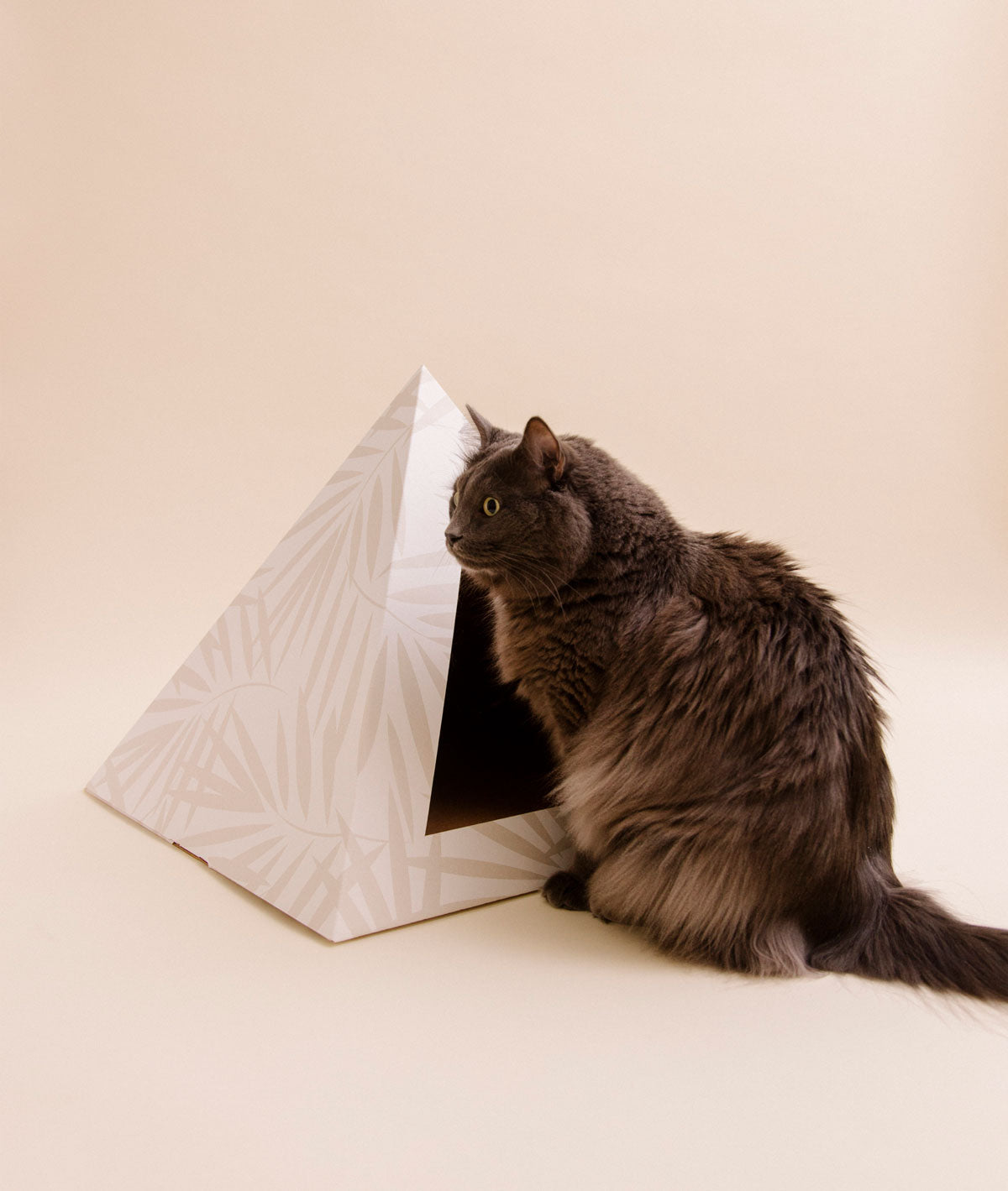 'Neutral Palm' Cardboard Cat Pyramid - Doot's Pet LLC Collars For A Cause
