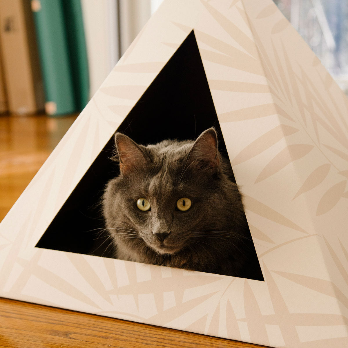 'Neutral Palm' Cardboard Cat Pyramid - Doot's Pet LLC Collars For A Cause