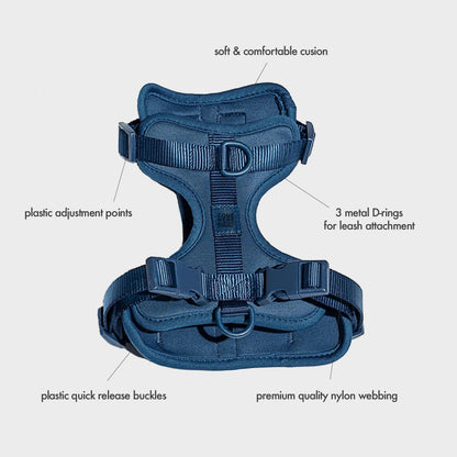 Come Here Buddy Harness