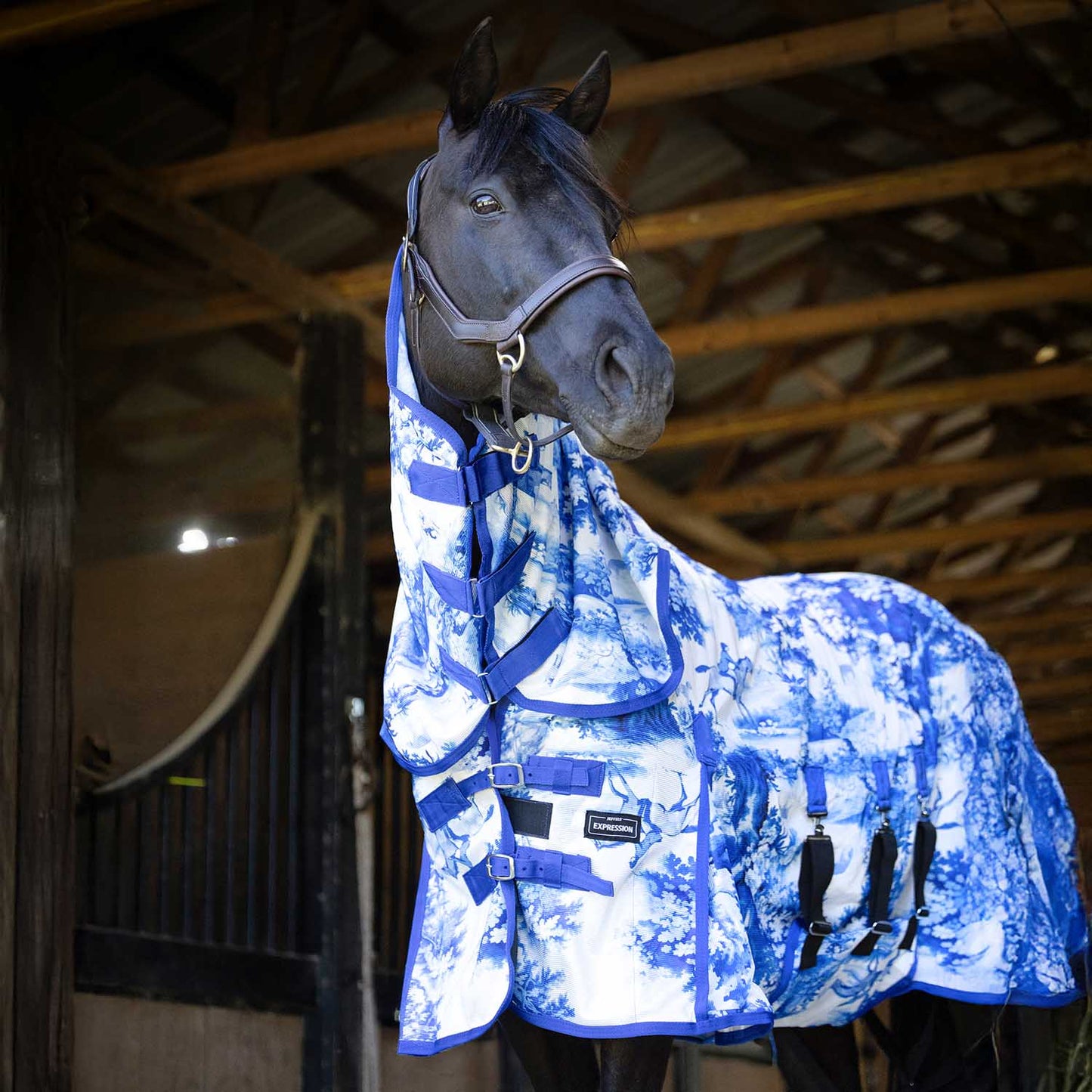 Pre-Sale Jeffers Expression Softmesh Combo Neck Horse Fly Sheet