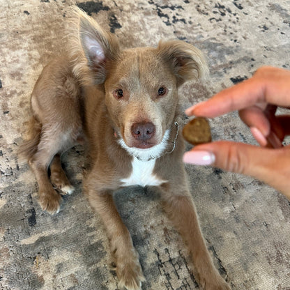 Hip & Joint Chews (90 Chews) - Doot's Pet LLC Collars For A Cause