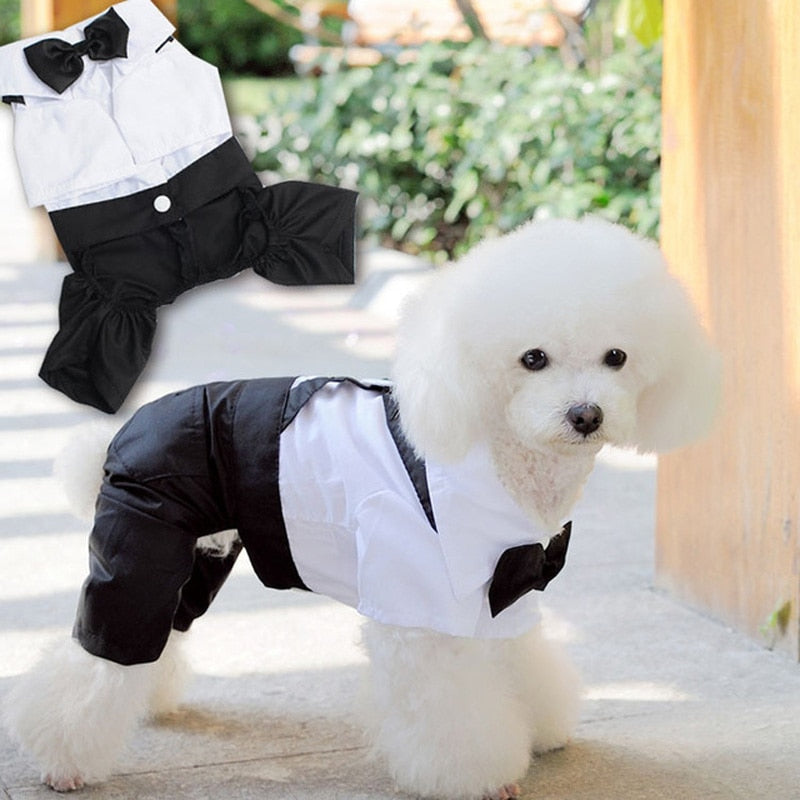 Handsome Stylish Pet Suit with Bow Tie - Doot's Pet LLC Collars For A Cause