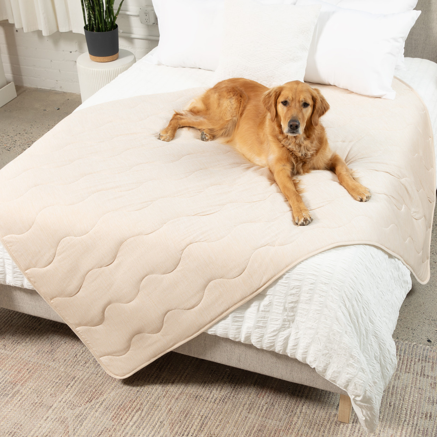 PupChill™ Cooling Waterproof Blanket - Arctic Sand - Doot's Pet LLC Collars For A Cause