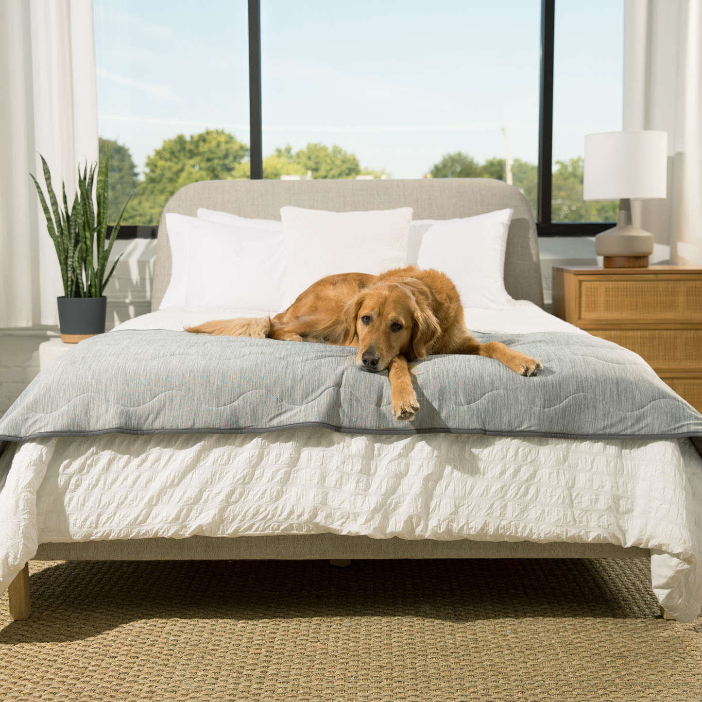 PupChill™ Cooling Waterproof Runner Blanket - Arctic Grey - Doot's Pet LLC Collars For A Cause