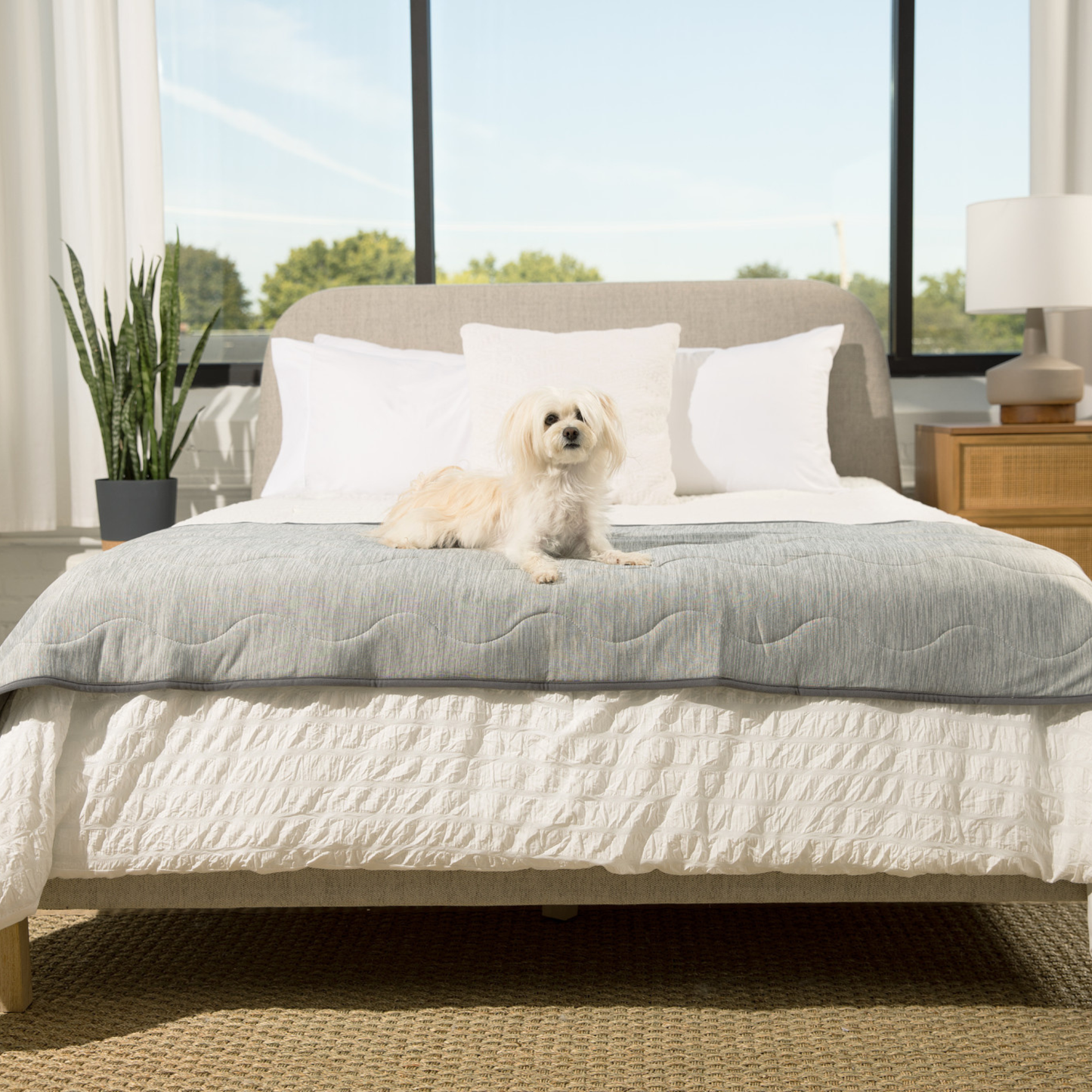 PupChill™ Cooling Waterproof Runner Blanket - Arctic Grey - Doot's Pet LLC Collars For A Cause