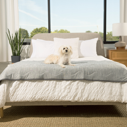 PupChill™ Cooling Waterproof Runner Blanket - Arctic Grey - Doot's Pet LLC Collars For A Cause