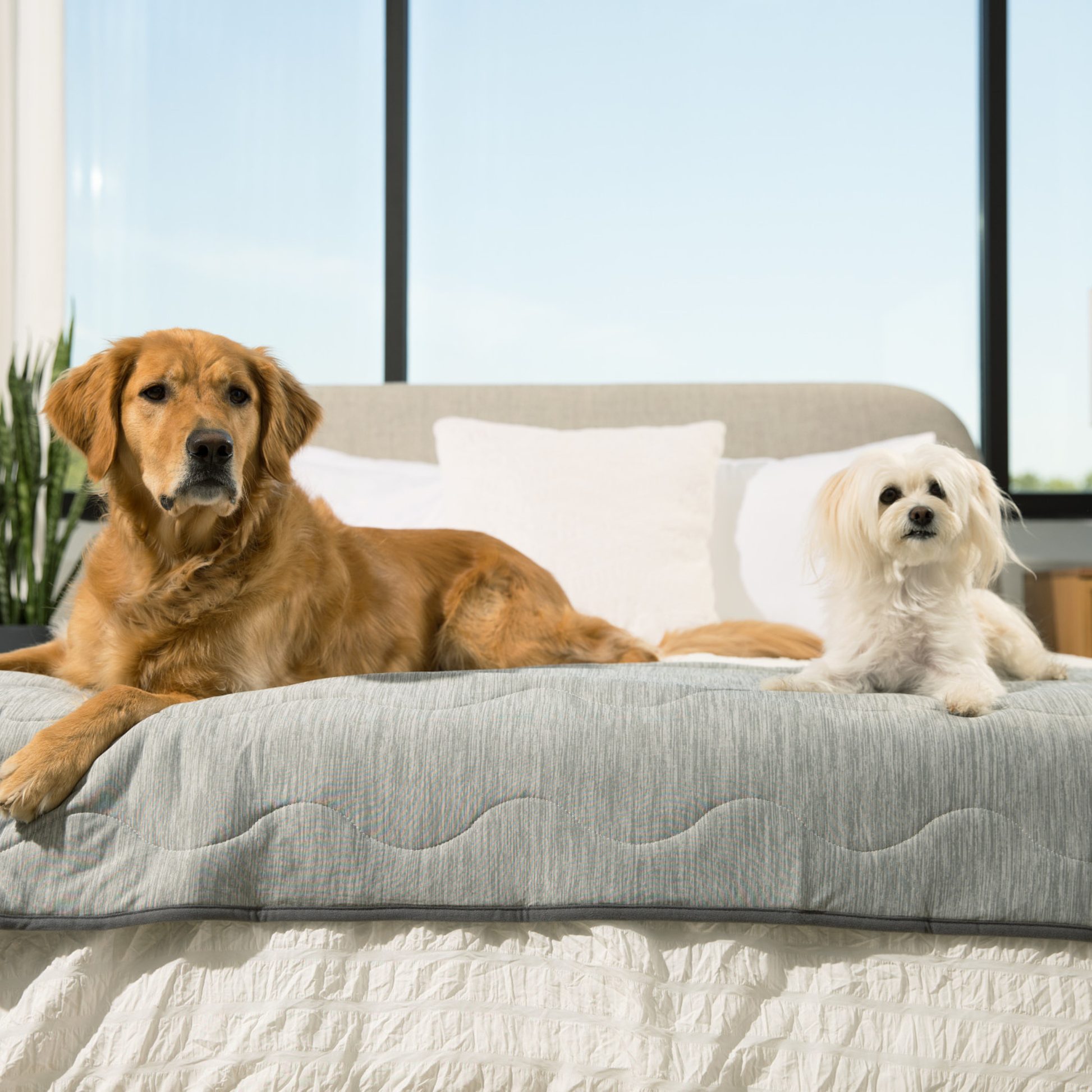 PupChill™ Cooling Waterproof Runner Blanket - Arctic Grey - Doot's Pet LLC Collars For A Cause