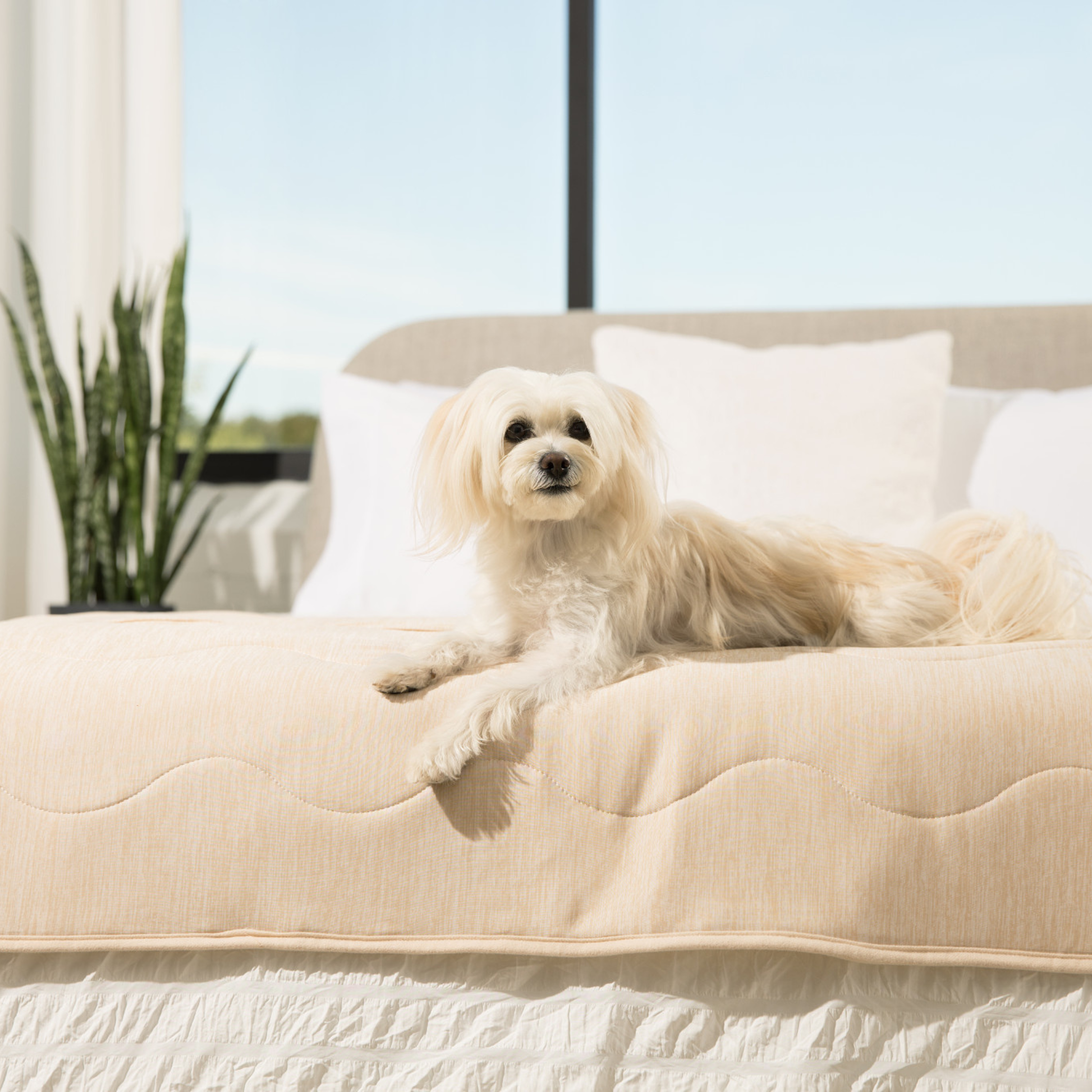 PupChill™ Cooling Waterproof Runner Blanket - Arctic Sand - Doot's Pet LLC Collars For A Cause