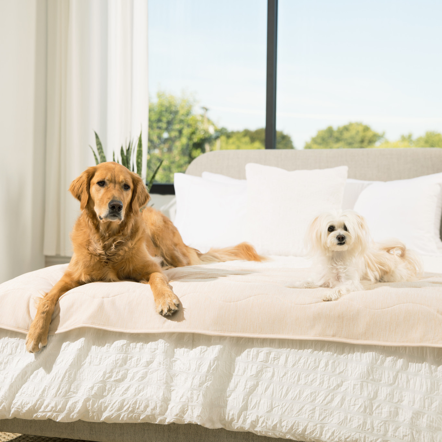 PupChill™ Cooling Waterproof Runner Blanket - Arctic Sand - Doot's Pet LLC Collars For A Cause