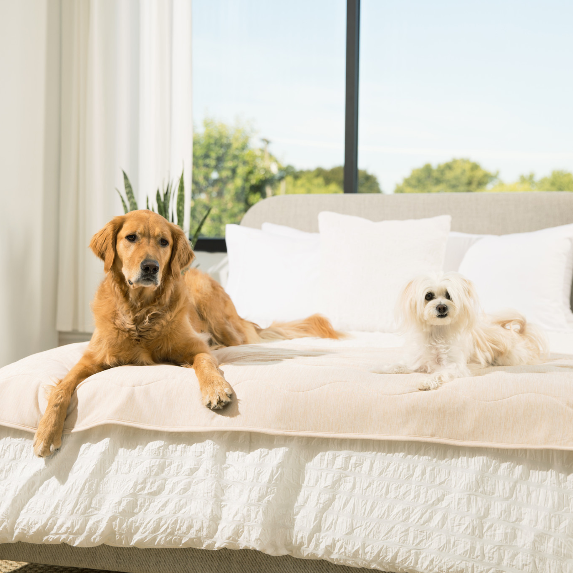 PupChill™ Cooling Waterproof Runner Blanket - Arctic Sand - Doot's Pet LLC Collars For A Cause