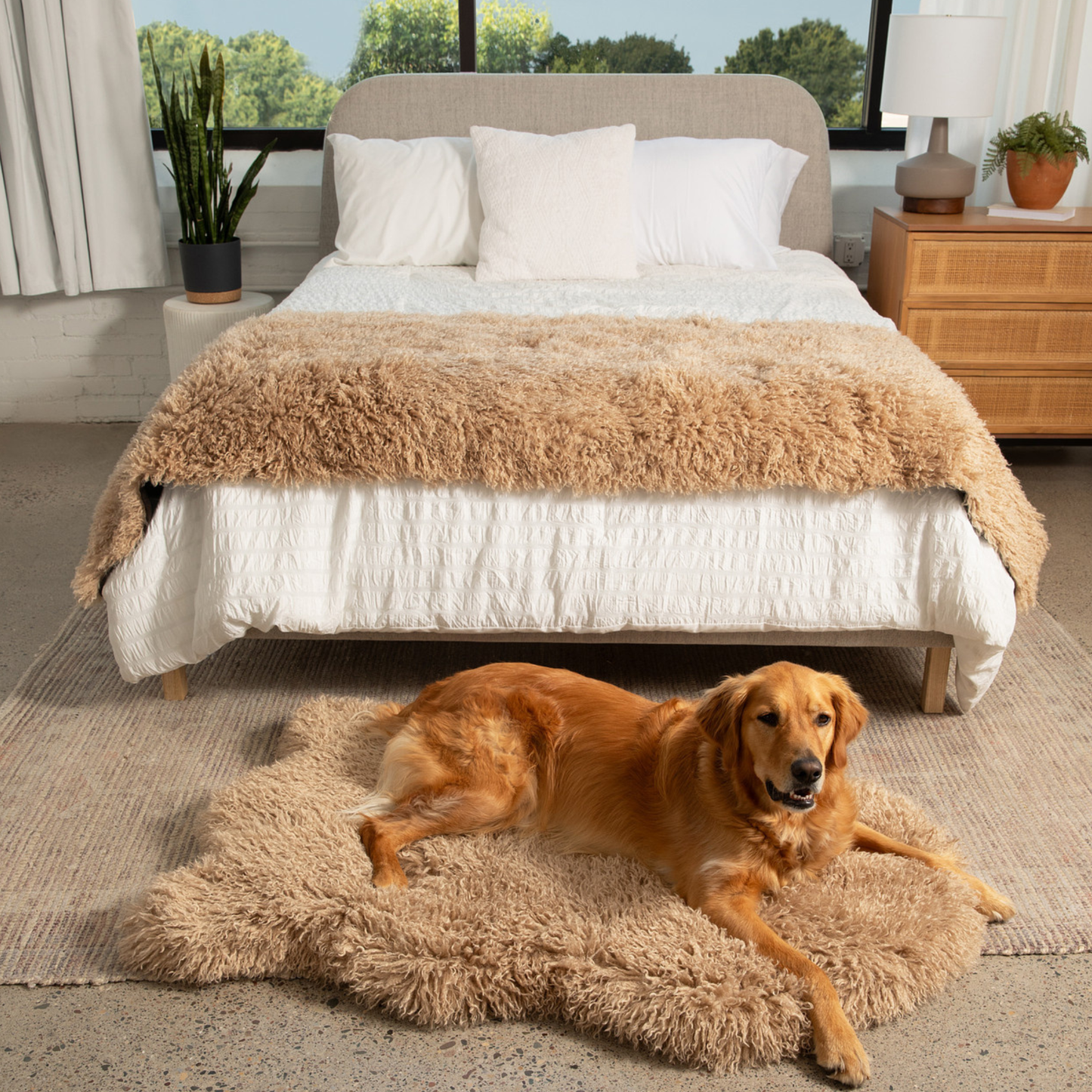 PupRug® Luxe Faux Fur Orthopedic Dog Bed -  Plush Sheep Tan - Doot's Pet LLC Collars For A Cause