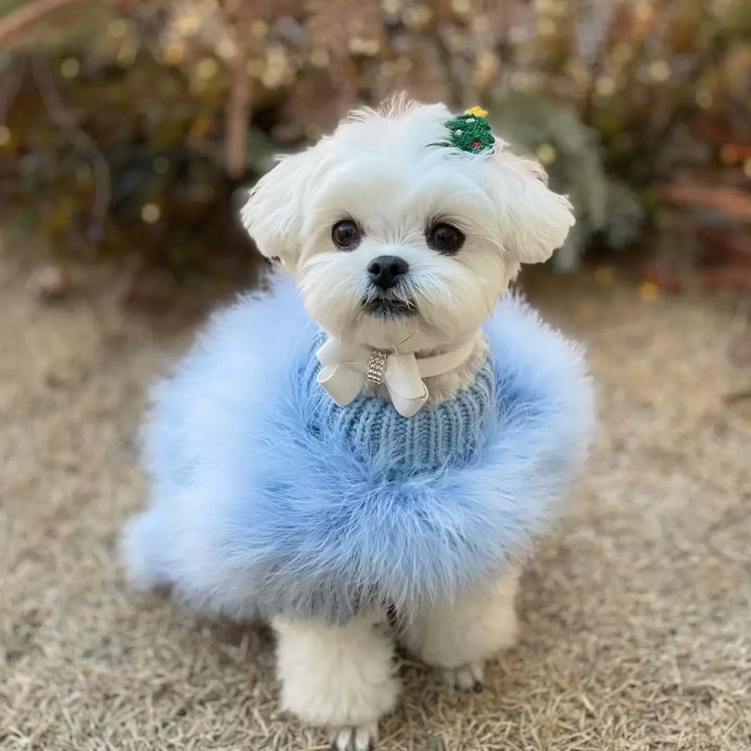 Haute Couture Feathered Luxury Pet Sweater - Doot's Pet LLC Collars For A Cause
