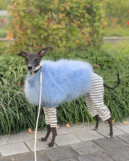 Haute Couture Feathered Luxury Pet Sweater - Doot's Pet LLC Collars For A Cause