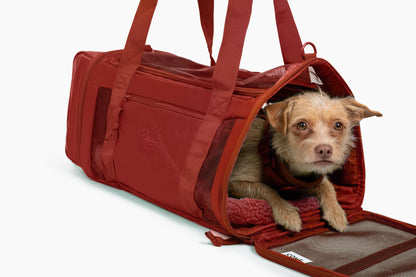 Travel Buddy - Pet Carrier