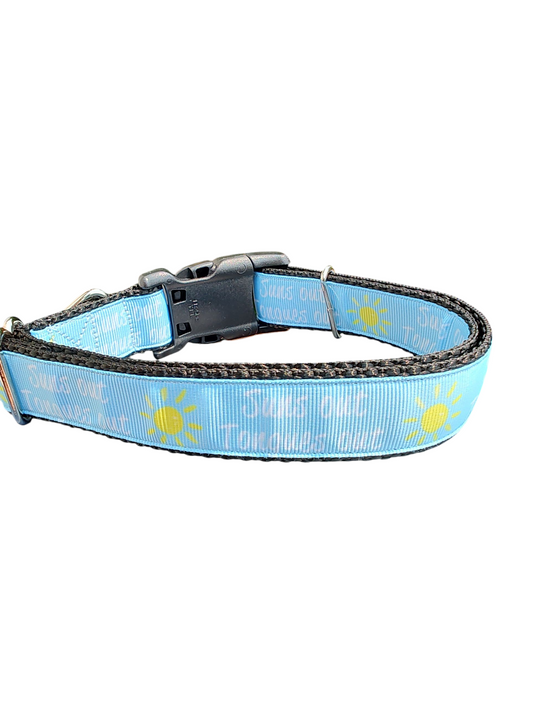 Suns Out Tongues Out Blue Nylon Dog Collar
