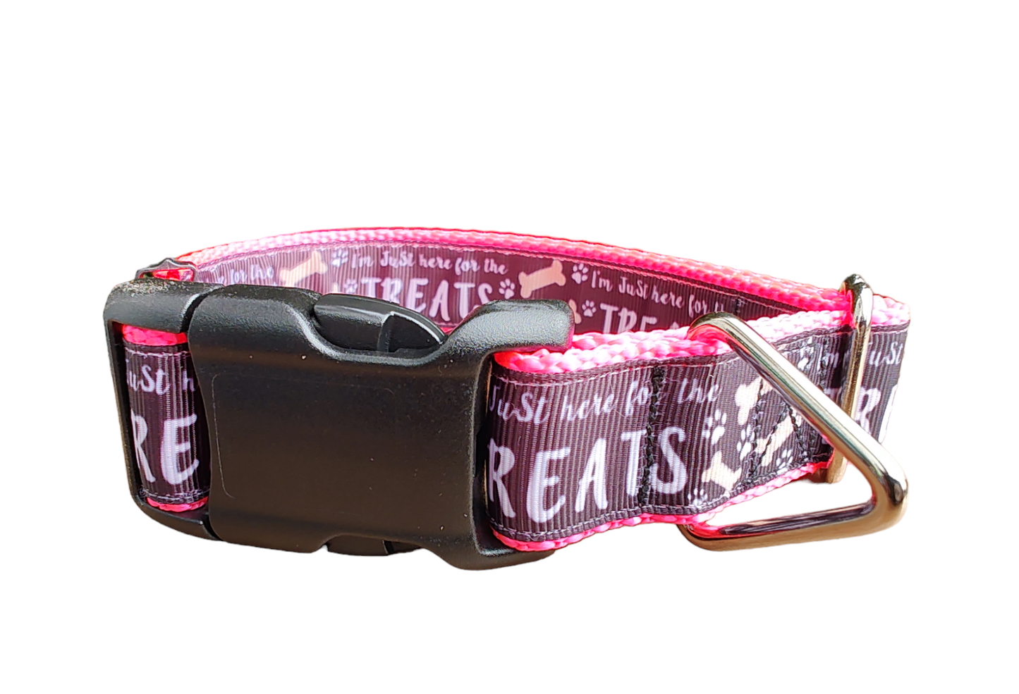 Here For The Treats Hot Pink Nylon Dog Collar MD, LG, XL, Leash - Doot's Pet LLC Collars For A Cause