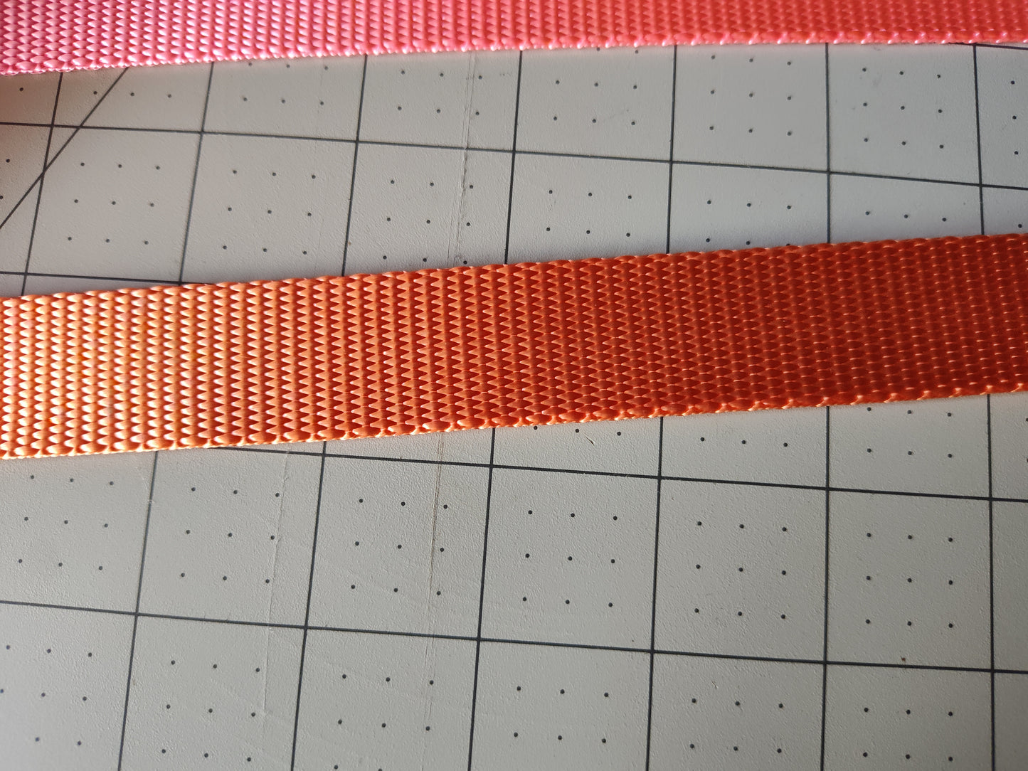 Doot's Basics Nylon Dog Collar/ Leash