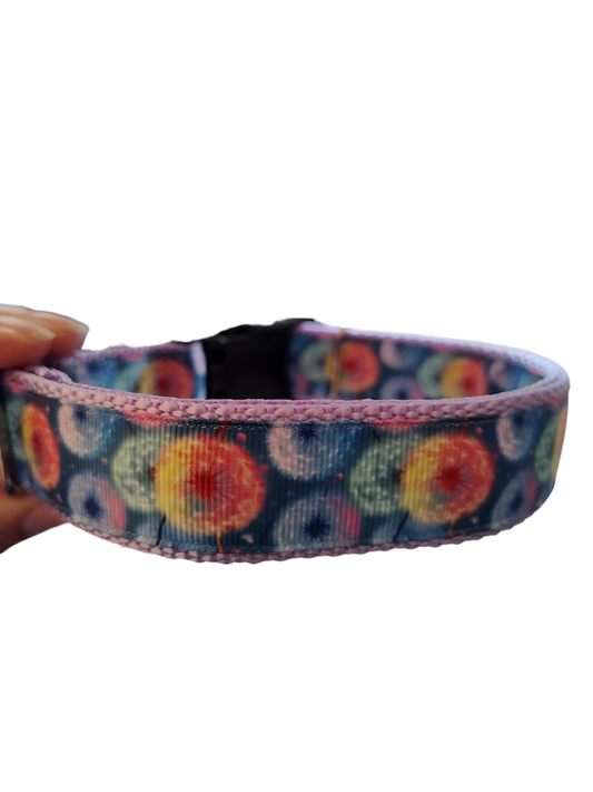 Dandelion Wish Nylon Dog Collar