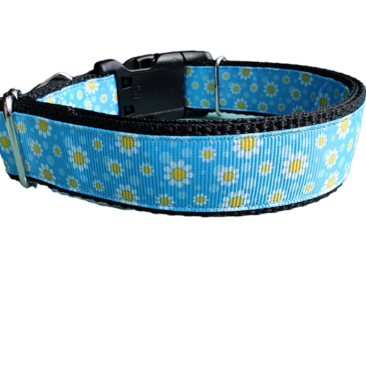 Daisies Nylon Dog Collar - Doot's Pet LLC Collars For A Cause