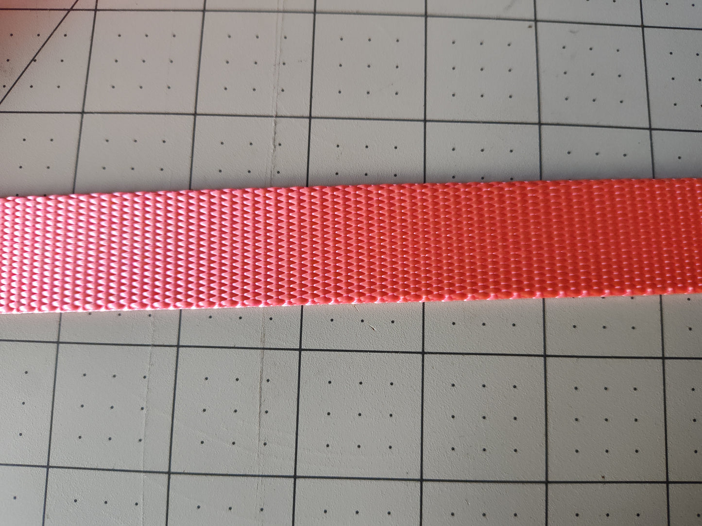 Doot's Basics Nylon Dog Collar/ Leash