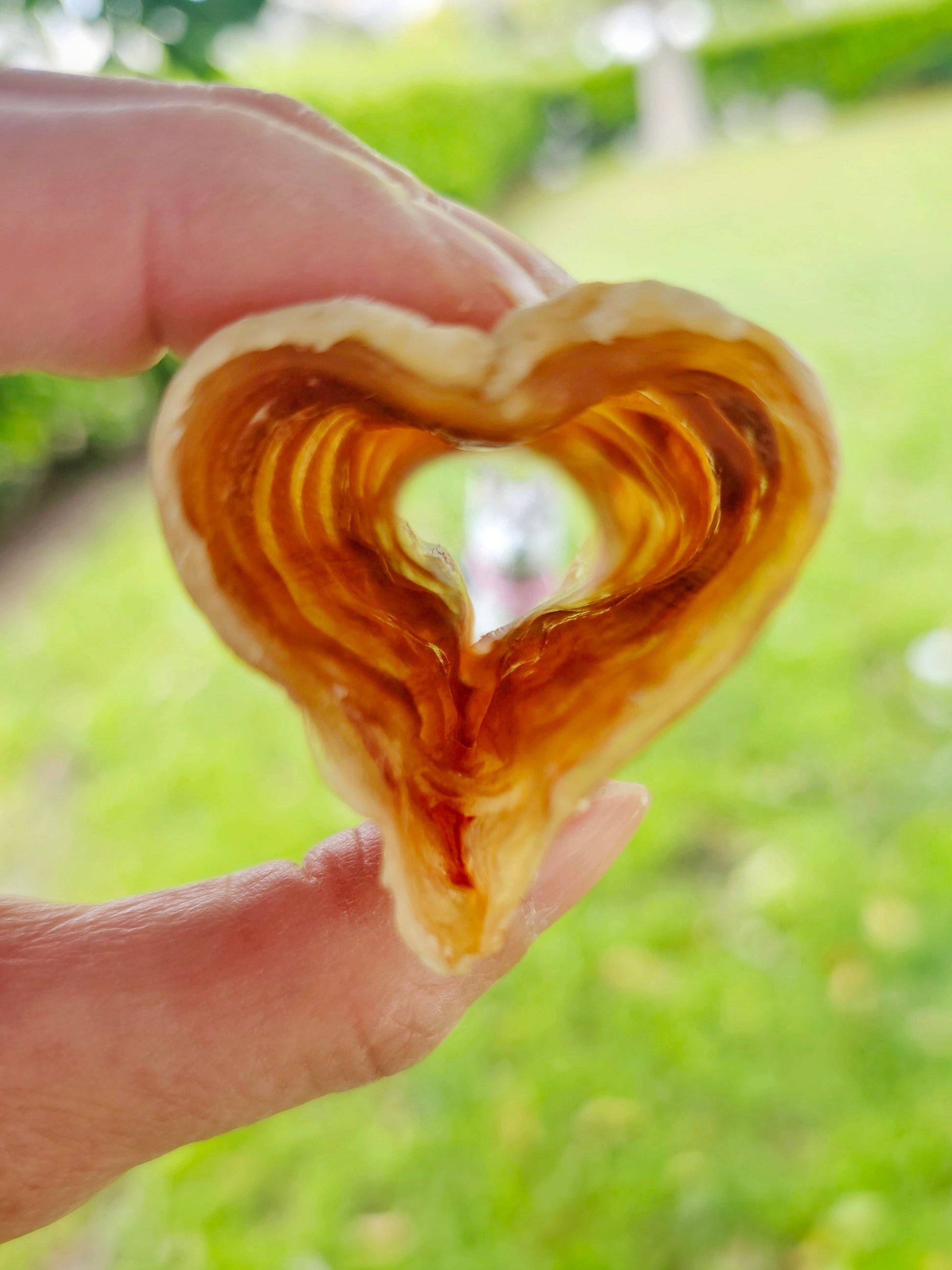 Beef Trachea (Grass Fed & Finished) - Doot's Pet LLC Collars For A Cause