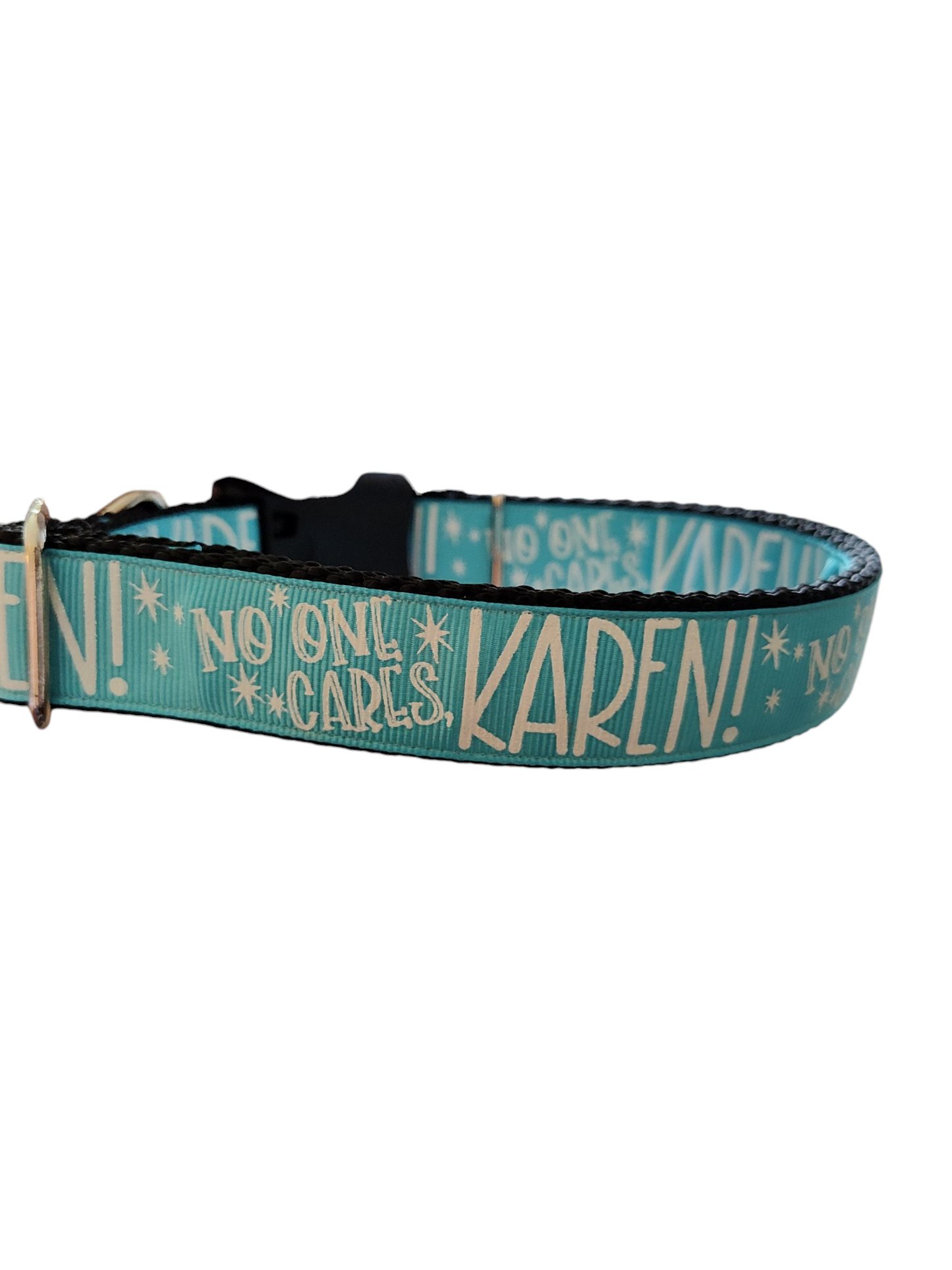 No One Cares Karen Nylon Dog Collar