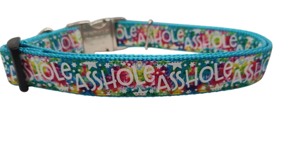 Asshole Rainbow Galaxy Nylon Dog Collar