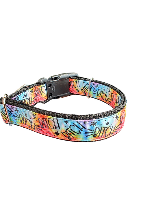 Bitch Rainbow Nylon Dog Collar