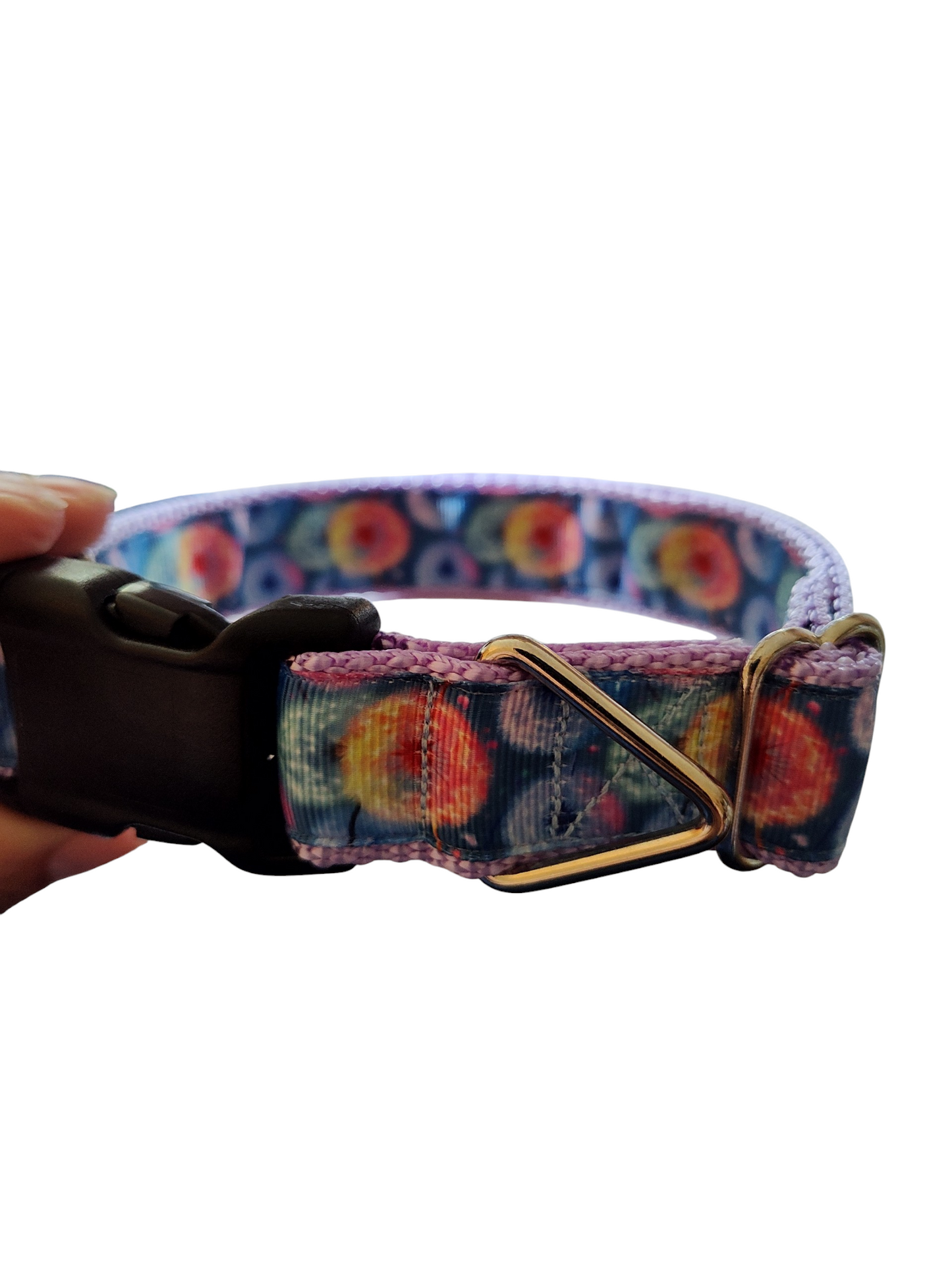 Dandelion Wish Nylon Dog Collar